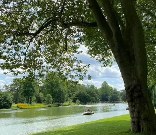 Ein Ansatz, zwei Wege: Der europaweite Tag der Parks Park_Karlsruhe
