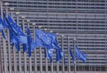 Rassemblement National: Millionenstrafe erschüttert Marine Le Pens Partei Europaparlament