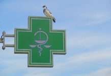 Wenn die Apotheke verschwindet – Wie Frankreichs Dörfer um ihre Gesundheit kämpfen Apotheke