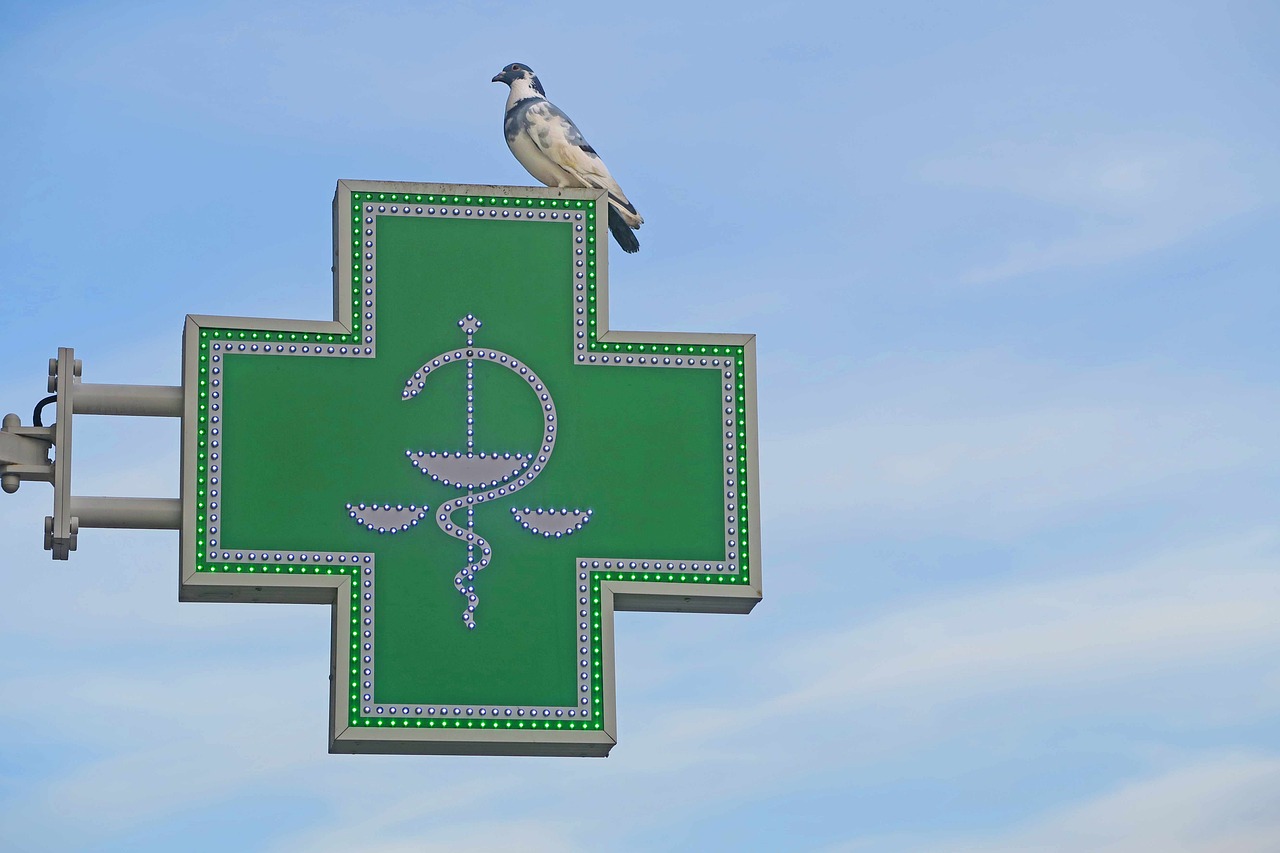 Wenn die Apotheke verschwindet – Wie Frankreichs Dörfer um ihre Gesundheit kämpfen
