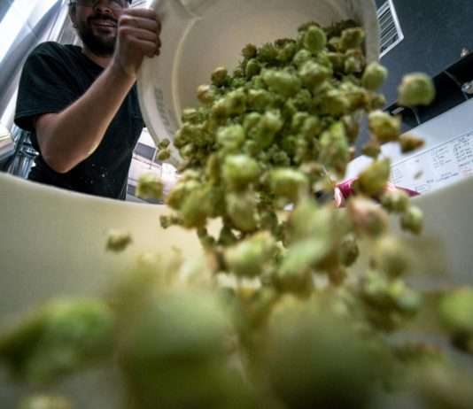 Lebensmittelverschwendung: Frankreich vs. Deutschland Lebensmittel_Verschwendung