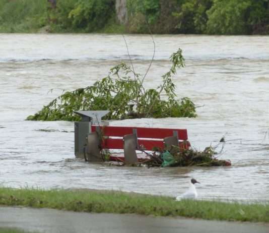 Hochwasser in Frankreich: Sechs Départements weiter in Alarmstufe Orange Überschwemmung