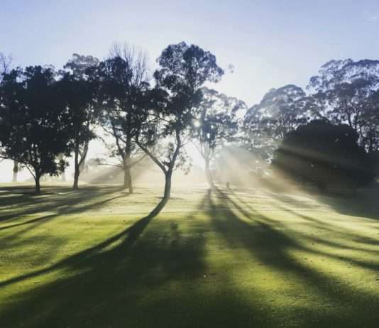 Pfingsten: Ein Fest der Gemeinsamkeit und Hoffnung Natur_Pfingsten