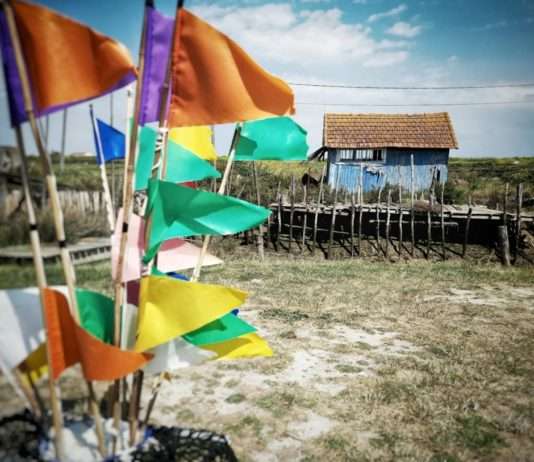 Kleine Insel, großer Sieg: Oléron zwingt Airbnb in die Knie Marennes-Oleron