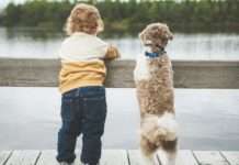 Italien und der Geburtenrückgang: Ein Land in der demografischen Krise Kind_Hund