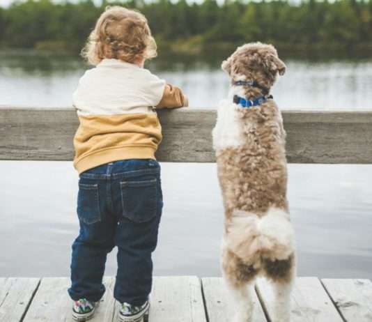 Italien und der Geburtenrückgang: Ein Land in der demografischen Krise Kind_Hund