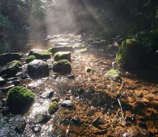 Wasser in Not: Wie Europa sein blaues Herz verliert Grundwasser_Bach