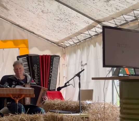 Ein Rekord für die Ewigkeit: Das längste Akkordeonkonzert der Welt Christelle-de-Franceschi_ScreenFB