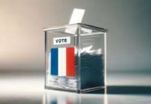 Direkte Demokratie auf dem Prüfstand: Die Rolle des Referendums in der Fünften Republik Referendum