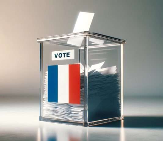 Emmanuel Macron: Zu knapper Zeitplan für Neuwahlen? Referendum