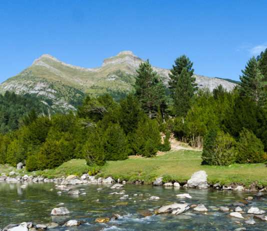 Die geheime Route der Insekten: Ein Mikrokosmos im Col de Bujaruelo (Pyrenäen) Col-de-Bujaruelo