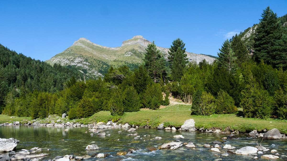 Die geheime Route der Insekten: Ein Mikrokosmos im Col de Bujaruelo (Pyrenäen)