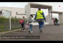 Rätselhafte Vergiftungen in der Marne: Die Suche nach der Ursache geht weiter Vergiftungen_Marne_ScreenF2