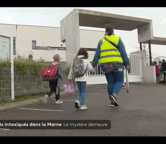 Rätselhafte Vergiftungen in der Marne: Die Suche nach der Ursache geht weiter Vergiftungen_Marne_ScreenF2