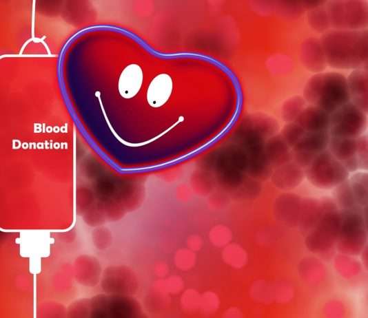 Lebensretter im Alltag – Der Weltblutspendetag Blutspende