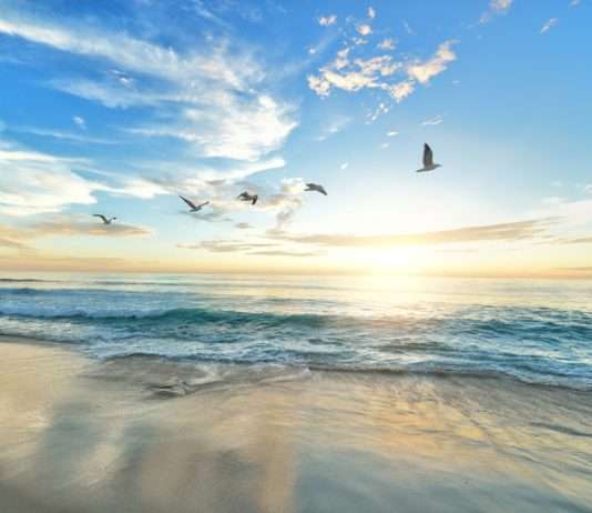 Kurswechsel oder Katastrophe? Warum unsere Ozeane einen Rettungsplan brauchen Ozean