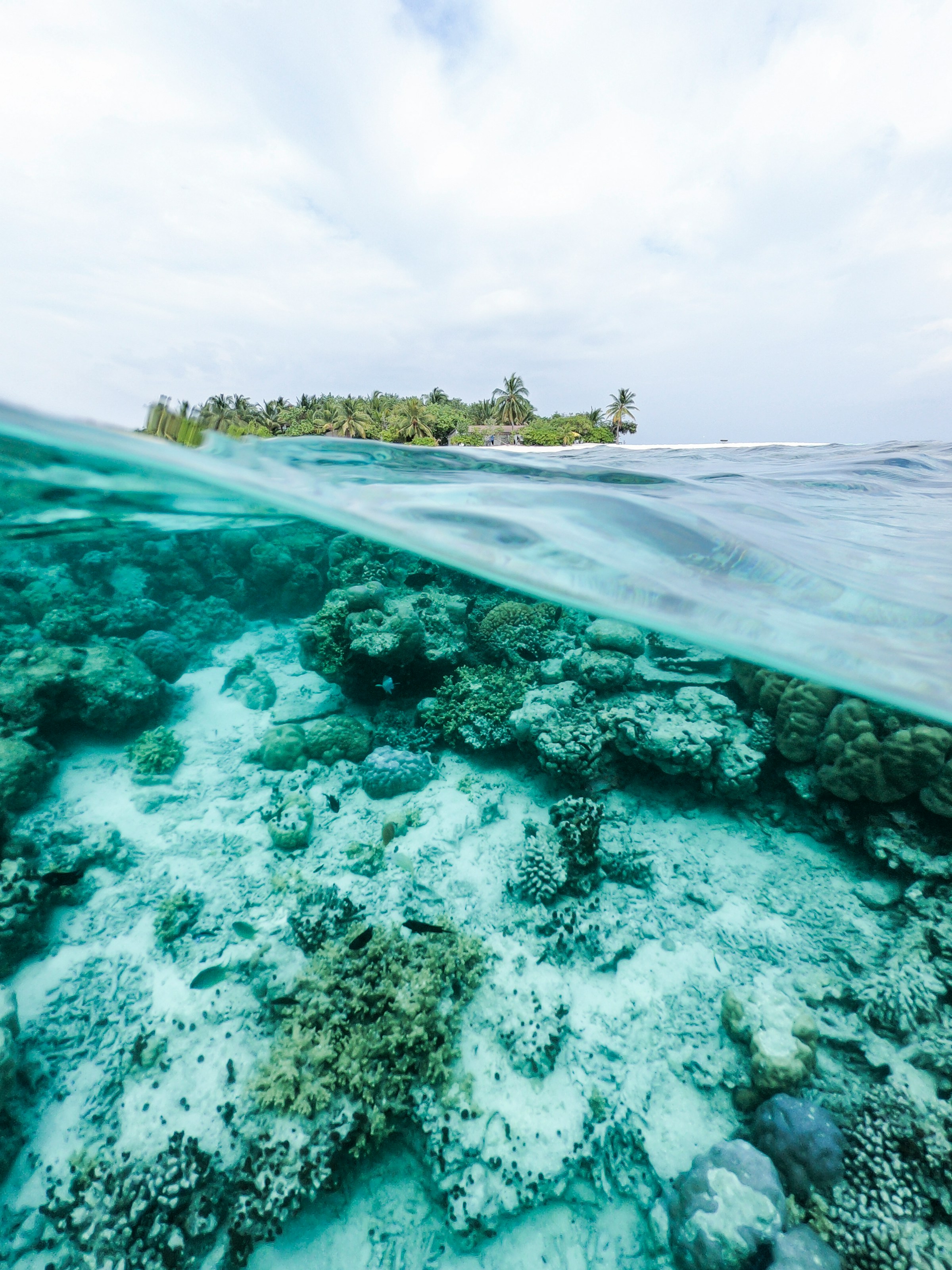 Die Bedeutung unserer Ozeane zu Zeiten des Klimawandels