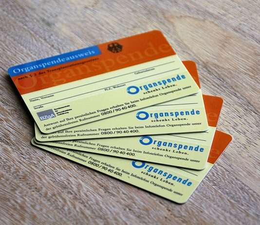 Ein Herz für das Leben: Der Tag der Organspende Organspende