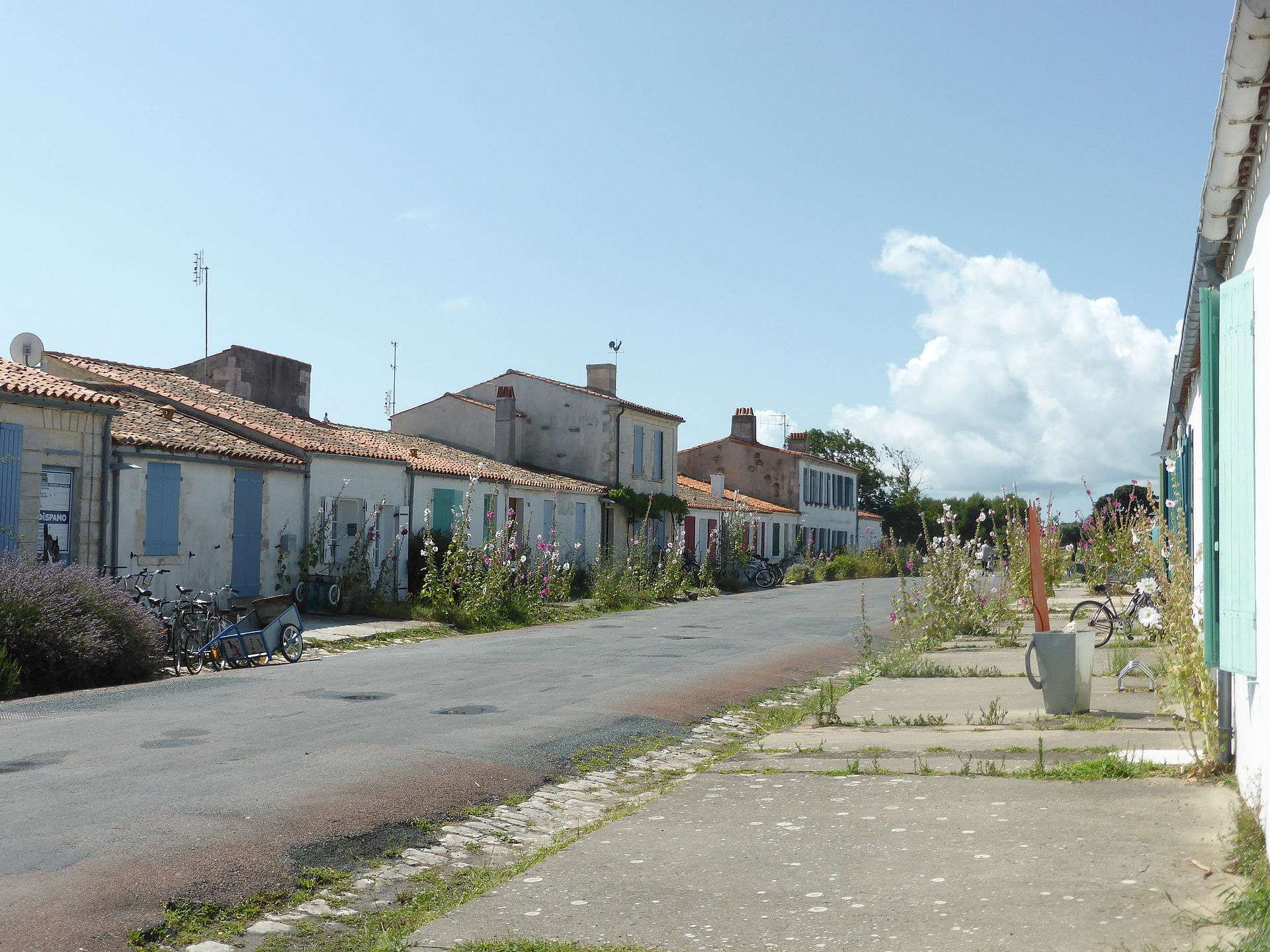 Sommerferien: Entdeckung der Île-d'Aix, eine Oase der Ruhe vor der Küste der Charente-Maritime