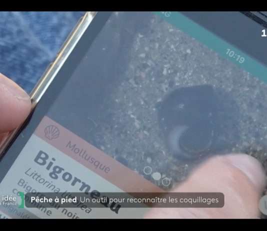 Bernic&Clic: Die Bretagne und eine digitale Revolution am Meer Bernic-Click_ScreenF2