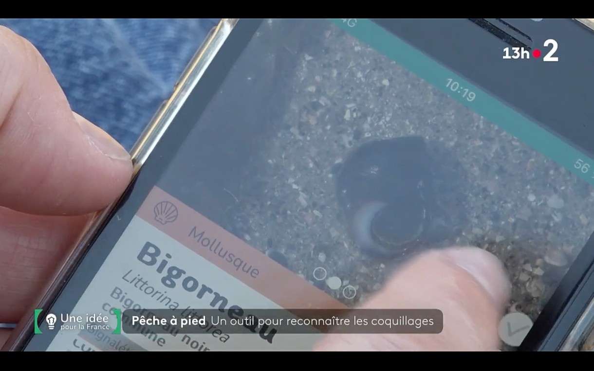 Bernic&Clic: Die Bretagne und eine digitale Revolution am Meer