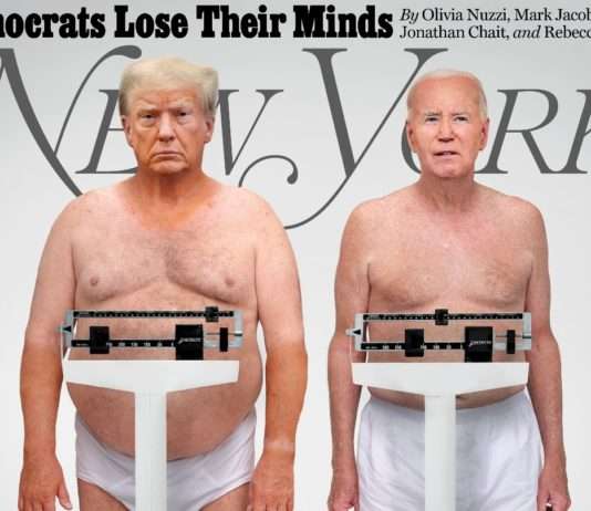 Provokation auf dem Titelblatt: New York Magazine erntet Kritik für satirische Darstellung von Trump und Biden New_York_Magazine_ScreenX