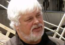 Paul Watson: Kampf gegen den Walfang in Island geht weiter Paul_Watson_portrait