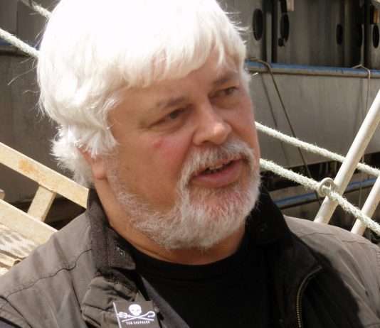 Paul Watson: Gründer von Sea Shepherd in Dänemark verhaftet Paul_Watson_portrait