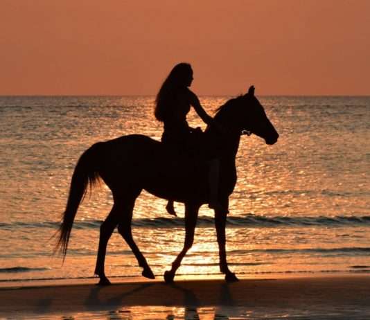 Landes: Unvergessliche Erlebnisse zwischen Dünen und Wäldern – zu Pferd, im Kajak oder auf dem Fahrrad Reiten_Sonnenuntergang