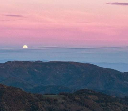 Vogesen: Ein kulinarisches und abenteuerliches Wochenende zwischen Himmel und Erde Vogesen_Ballon_d_Alsace