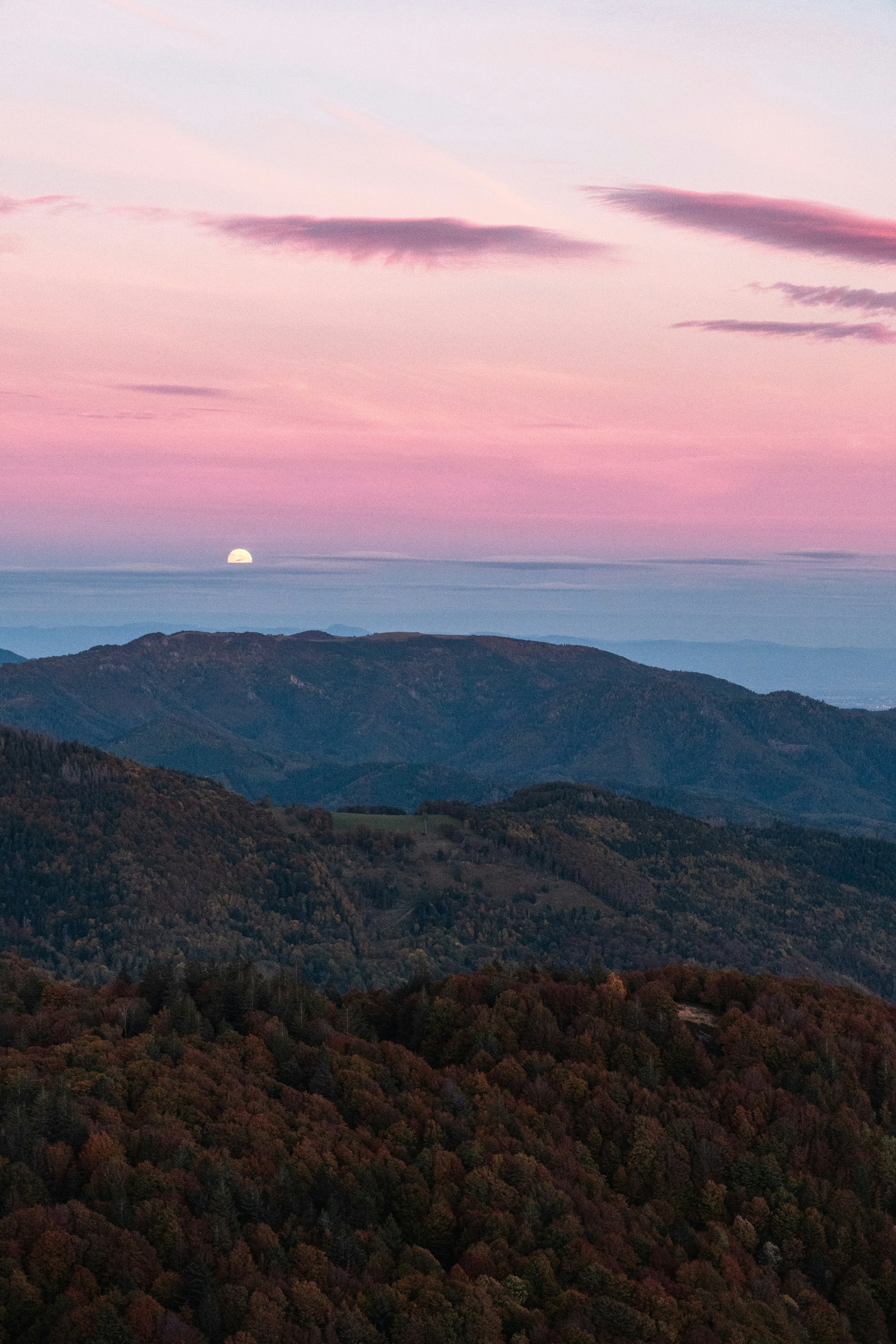 Vogesen: Ein kulinarisches und abenteuerliches Wochenende zwischen Himmel und Erde