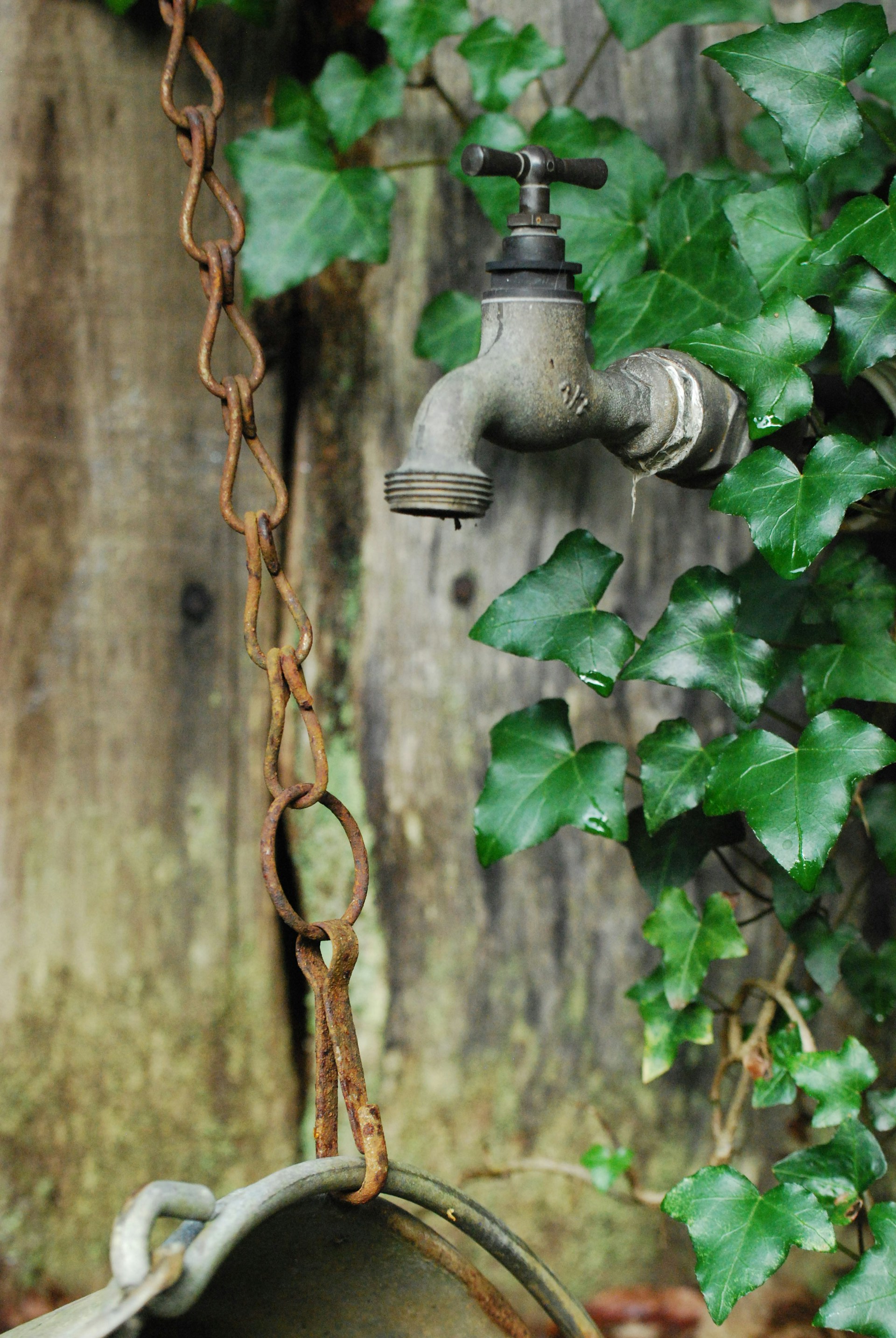 Trockene Zeiten in Durban-Corbières: Wassernotstand zwingt Bewohner zum Umdenken