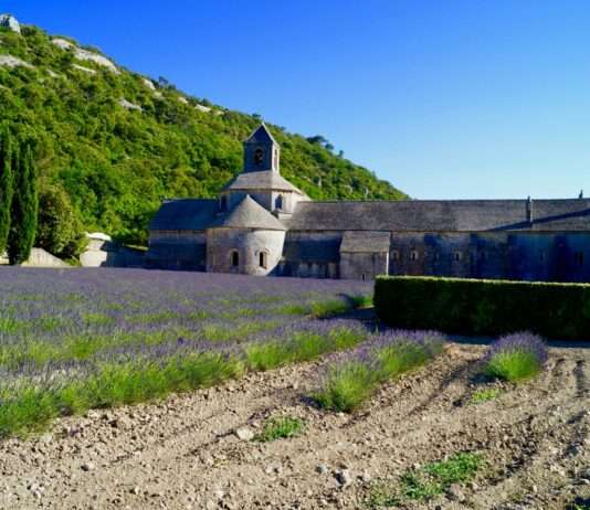 Eine Reise durch das Herz der Provence – von Avignon bis Monaco Provence