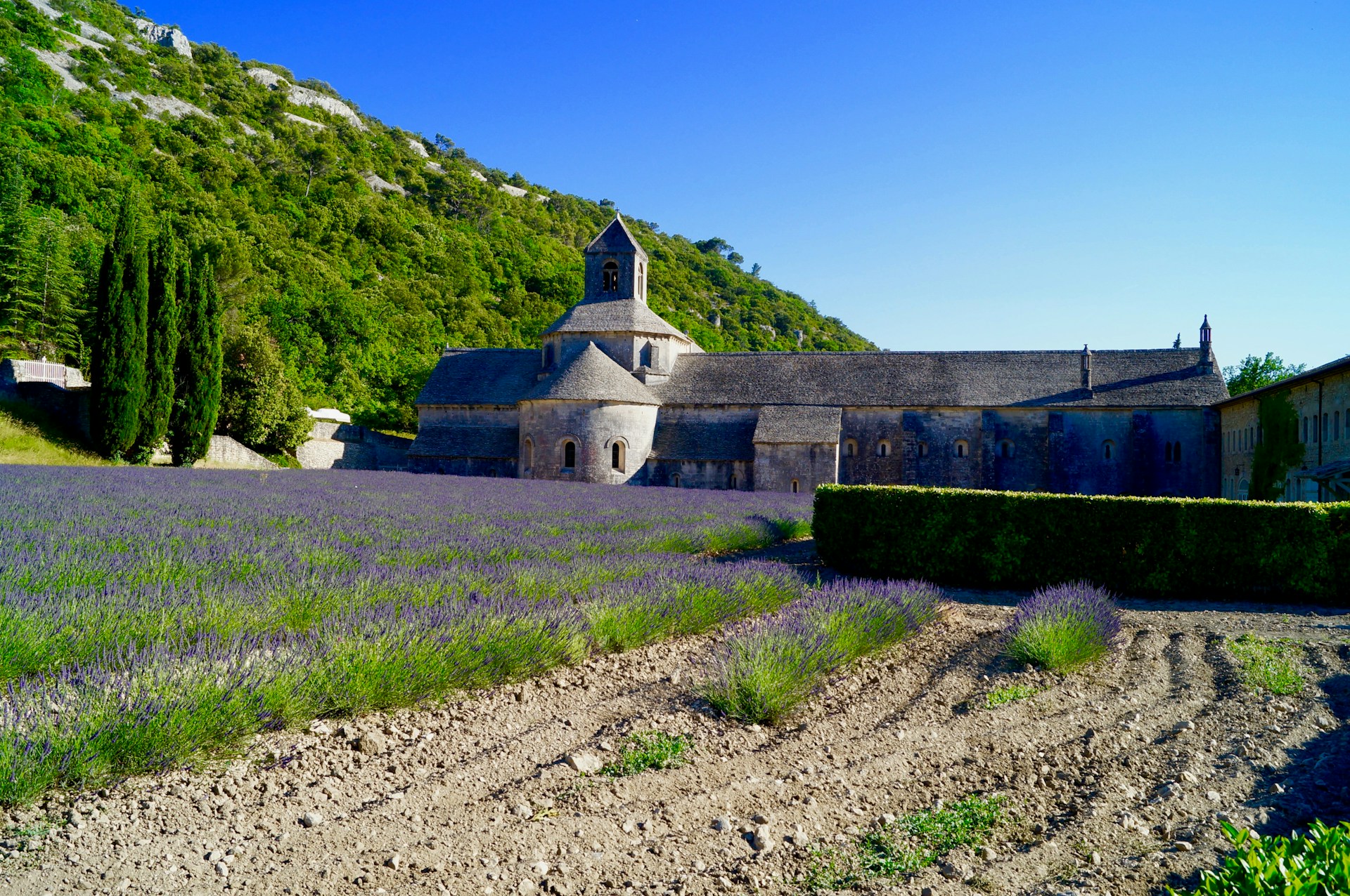 Eine Reise durch das Herz der Provence - von Avignon bis Monaco