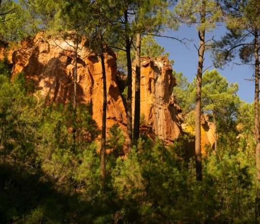 Trockenheit und starker Wind: Waldbrandgefahr in Südwestfrankreich Roussillon