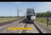 Chaos auf den Schienen: Unwetter legt Zugverkehr im Südosten Frankreichs lahm Beschaedigter_TGV_ScreenFI