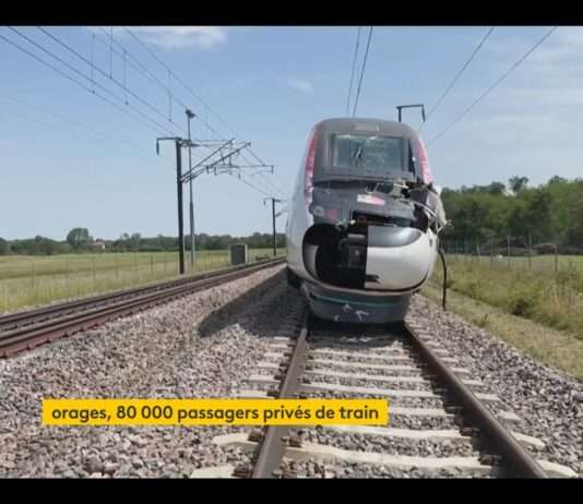 Chaos auf den Schienen: Unwetter legt Zugverkehr im Südosten Frankreichs lahm Beschaedigter_TGV_ScreenFI