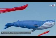 Festival Esti’vent: Der Himmel über Porspoder wird zum Kunstwerk Drachenfestival_Estivent