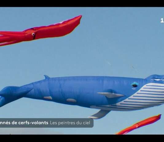 Festival Esti’vent: Der Himmel über Porspoder wird zum Kunstwerk Drachenfestival_Estivent