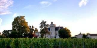 Bordeaux im Umbruch: Warum Frankreichs berühmteste Weine um ihre Zukunft ringen Pessac_Bordeaux