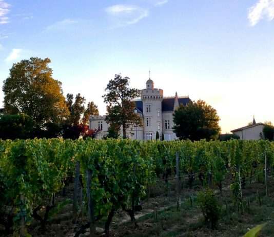 Pessac: Ein Spaziergang durch Weinberge, Architektur und Geschichte Pessac_Bordeaux