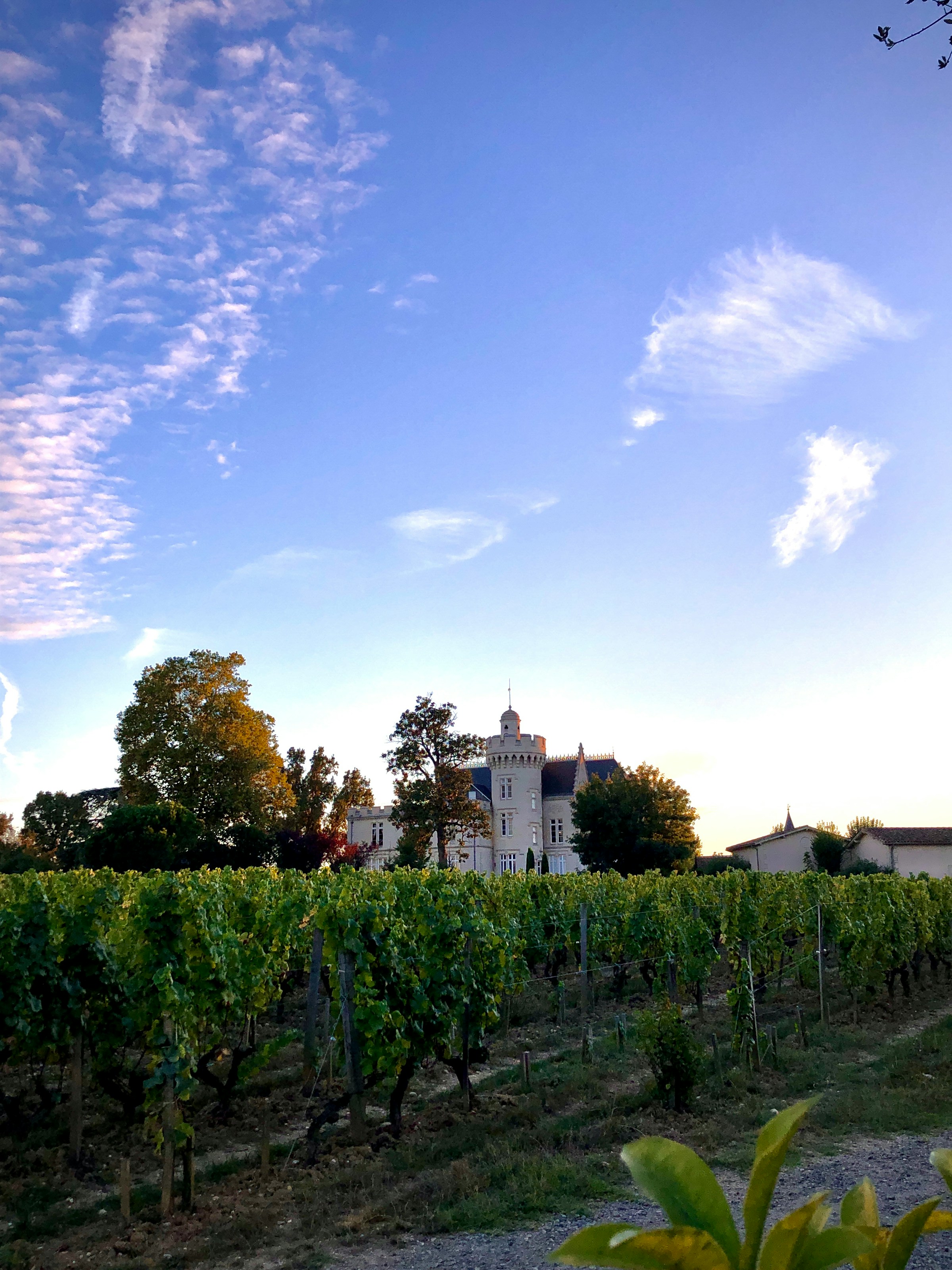 Pessac: Ein Spaziergang durch Weinberge, Architektur und Geschichte