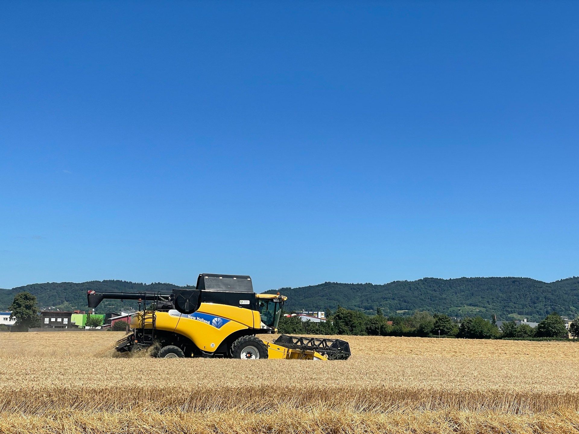 Landwirtschaft in der Krise: Schlechte Ernte und sinkende Weinerträge