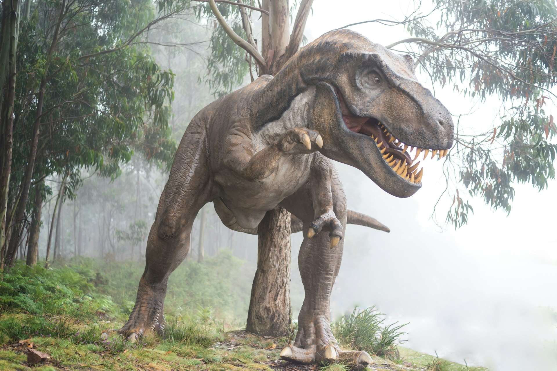 Sensationeller Fund: 80 Dinosaurier-Fußabdrücke im Departement Lozère entdeckt
