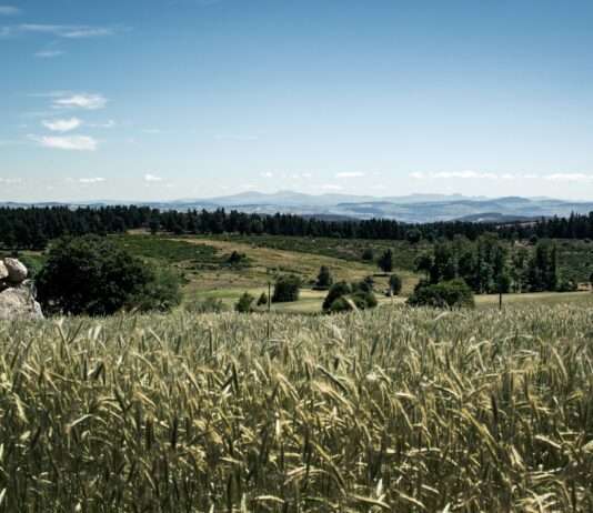 Lozère: Eine Rundreise durch das Herz der Cévennen Lozere