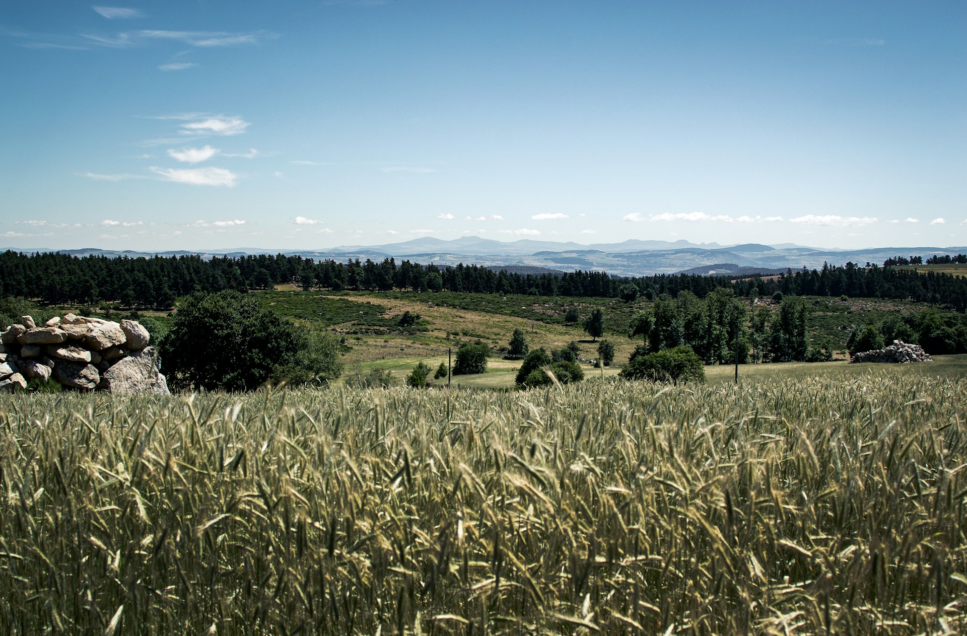 Lozère: Eine Rundreise durch das Herz der Cévennen