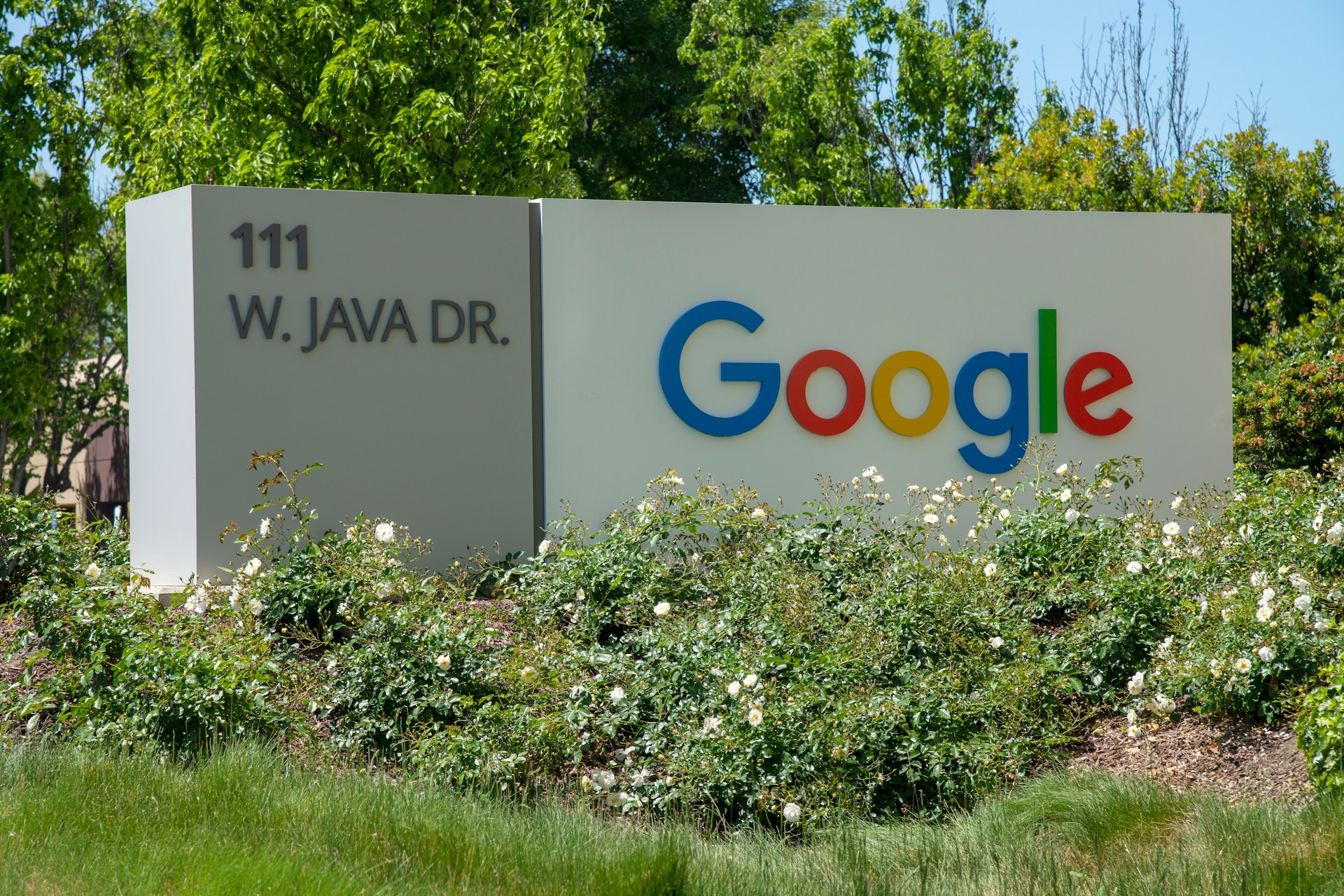 Google verliert Kartellprozess: Eine neue Ära der Internetsuche?