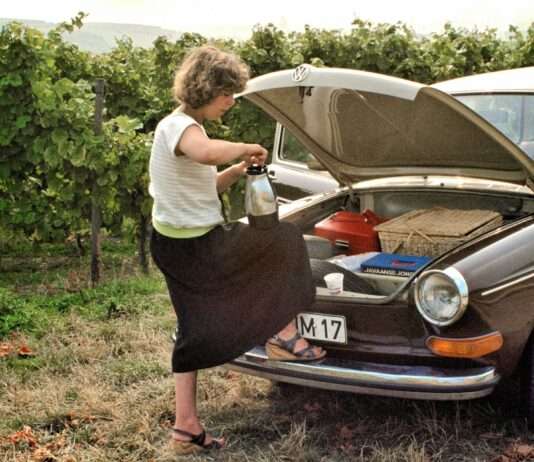 Auf der linken Seite des Rheins: Von Mulhouse nach Strasbourg Reise_Elsass