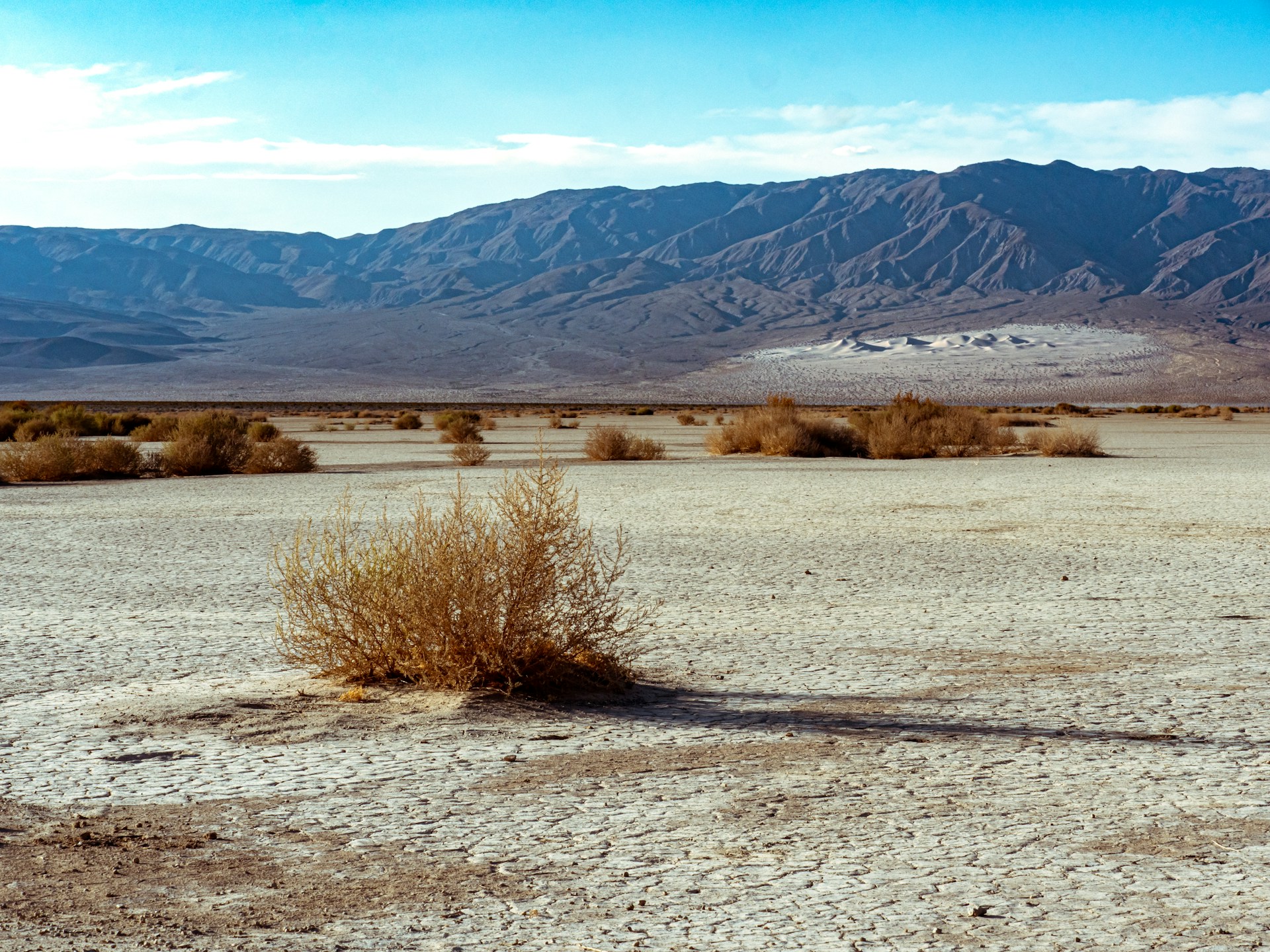 Rekordhitze im kalifornischen Death Valley: Ein weiteres Alarmsignal für die Zukunft!