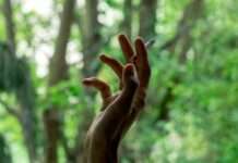 Feuer und Kontrolle – wie die Bouches-du-Rhône ihr Waldbrandproblem bekämpfen Waldbrandgefahr